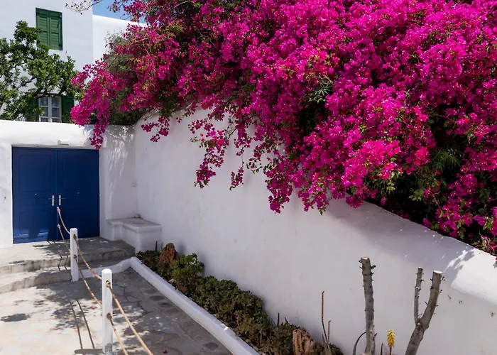 Olive Tree & Capari Homes & With Pool! Semesterbostad