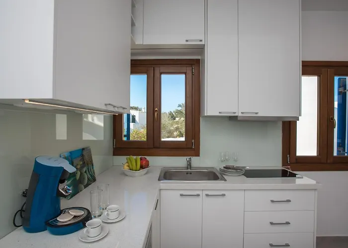 Olive Tree & Capari Homes & With Pool! Semesterbostad Mykonos Town