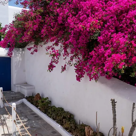 Olive Tree & Capari Homes & With Pool! Feriehus