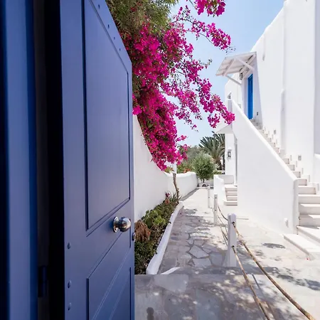 Olive Tree & Capari Homes & With Pool! * Mykonos Town