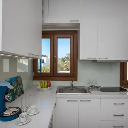 Olive Tree & Capari Homes & With Pool! Holiday home Mykonos Town